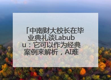 中南财大校长在毕业典礼谈Labubu：它可以作为经典案例来解析，AI难以给出答案