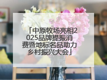 中原牧场亮相2025品牌提振消费暨地标名品助力乡村振兴大会