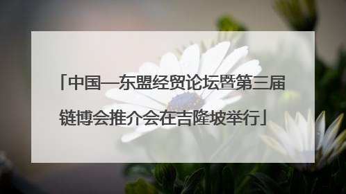 中国—东盟经贸论坛暨第三届链博会推介会在吉隆坡举行