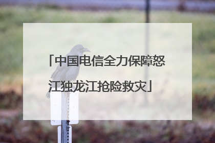 中国电信全力保障怒江独龙江抢险救灾