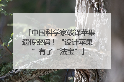 中国科学家破译苹果遗传密码！“设计苹果”有了“法宝”