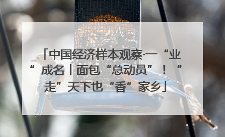 中国经济样本观察·一“业”成名丨面包“总动员”！“走”天下也“香”家乡