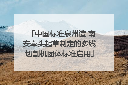中国标准泉州造 南安牵头起草制定的多线切割机团体标准启用