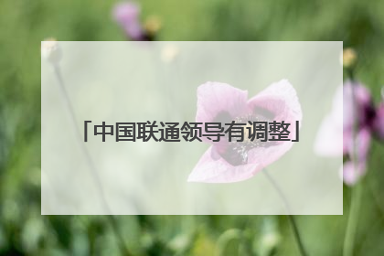 中国联通领导有调整