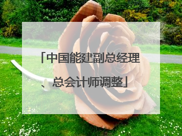 中国能建副总经理、总会计师调整
