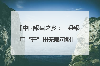 中国银耳之乡：一朵银耳“开”出无限可能