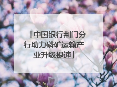 中国银行荆门分行助力磷矿运输产业升级提速