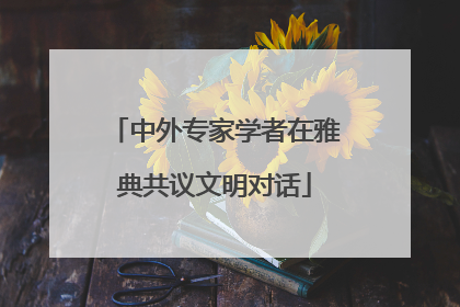 中外专家学者在雅典共议文明对话