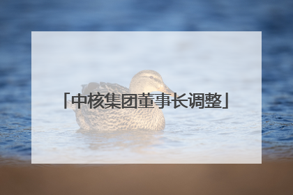 中核集团董事长调整