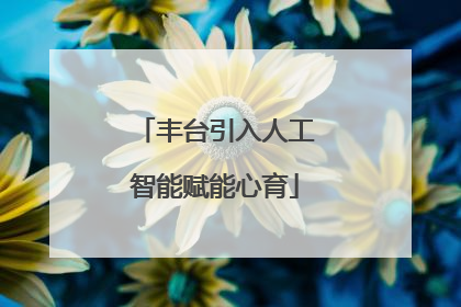 丰台引入人工智能赋能心育