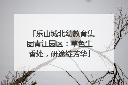 乐山城北幼教育集团青江园区：草色生香处，研途绽芳华