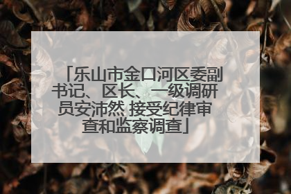 乐山市金口河区委副书记、区长、一级调研员安沛然 接受纪律审查和监察调查