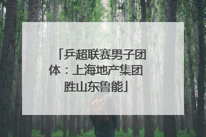 乒超联赛男子团体：上海地产集团胜山东鲁能