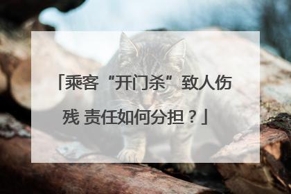 乘客“开门杀”致人伤残 责任如何分担？