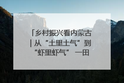 乡村振兴看内蒙古｜从“土里土气”到“虾里虾气” 一田双收模式火出圈