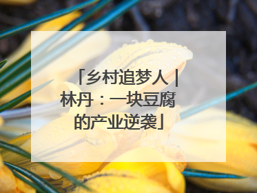 乡村追梦人｜林丹：一块豆腐的产业逆袭