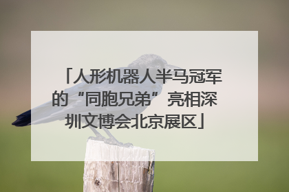 人形机器人半马冠军的“同胞兄弟”亮相深圳文博会北京展区