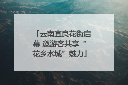 云南宜良花街启幕 邀游客共享“花乡水城”魅力