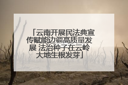 云南开展民法典宣传赋能边疆高质量发展 法治种子在云岭大地生根发芽