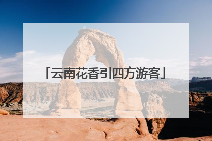 云南花香引四方游客