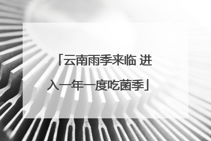 云南雨季来临 进入一年一度吃菌季