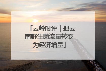 云岭时评｜把云南野生菌流量转变为经济增量