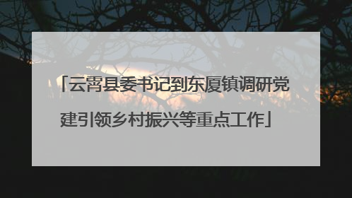 云霄县委书记到东厦镇调研党建引领乡村振兴等重点工作