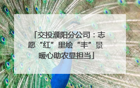 交投濮阳分公司：志愿“红”里绘“丰”景 暖心助农显担当