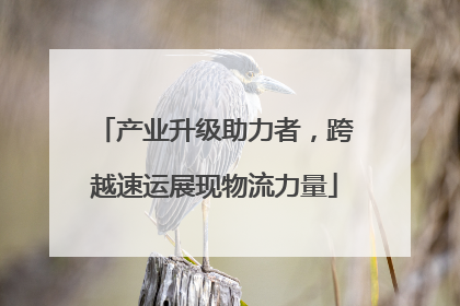 产业升级助力者，跨越速运展现物流力量