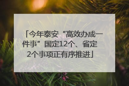 今年泰安“高效办成一件事”国定12个、省定2个事项正有序推进