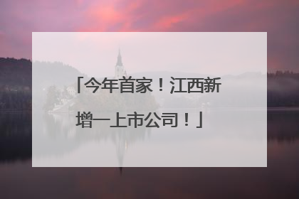 今年首家！江西新增一上市公司！