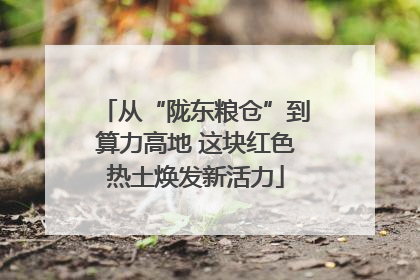 从“陇东粮仓”到算力高地 这块红色热土焕发新活力