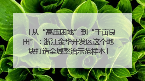 从“高压困地”到“千亩良田”：浙江金华开发区这个地块打造全域整治示范样本