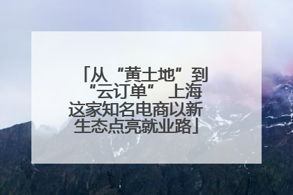 从“黄土地”到“云订单” 上海这家知名电商以新生态点亮就业路