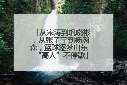 从宋涛到巩晓彬，从张子宇到杨瀚森，篮球逐梦山东“高人”不停歇