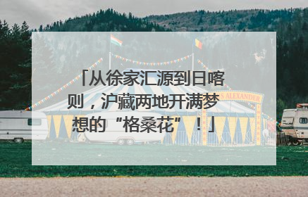 从徐家汇源到日喀则，沪藏两地开满梦想的“格桑花”！