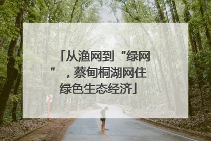从渔网到“绿网”，蔡甸桐湖网住绿色生态经济