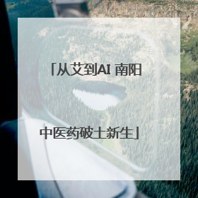 从艾到AI 南阳中医药破土新生