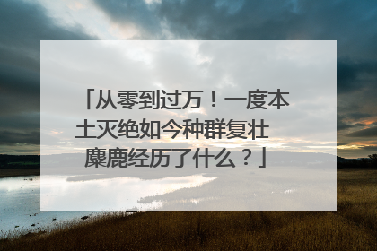 从零到过万！一度本土灭绝如今种群复壮 麋鹿经历了什么？