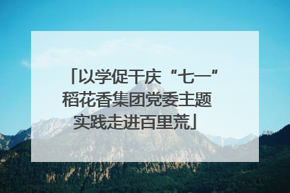 以学促干庆“七一” 稻花香集团党委主题实践走进百里荒