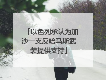 以色列承认为加沙一支反哈马斯武装提供支持