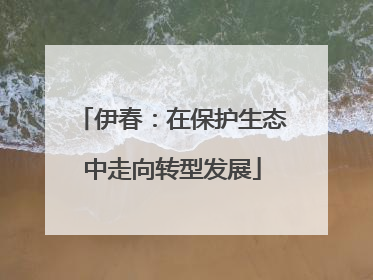 伊春：在保护生态中走向转型发展