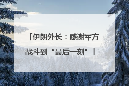 伊朗外长：感谢军方战斗到“最后一刻”