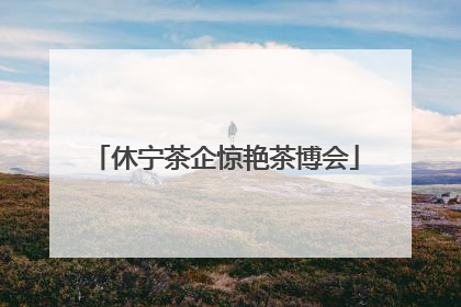 休宁茶企惊艳茶博会