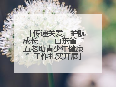 传递关爱、护航成长——山东省“五老助青少年健康”工作扎实开展