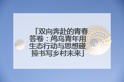 双向奔赴的青春答卷：鸬鸟青年用生态行动与思想碰撞书写乡村未来