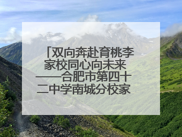 双向奔赴育桃李 家校同心向未来——合肥市第四十二中学南城分校家长学校期末总结会圆满召开