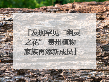 发现罕见“幽灵之花” 贵州植物家族再添新成员