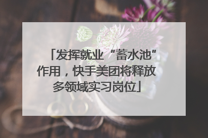 发挥就业“蓄水池”作用，快手美团将释放多领域实习岗位