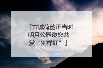 古城荷韵正当时 明月公园邀您共赏“别样红”